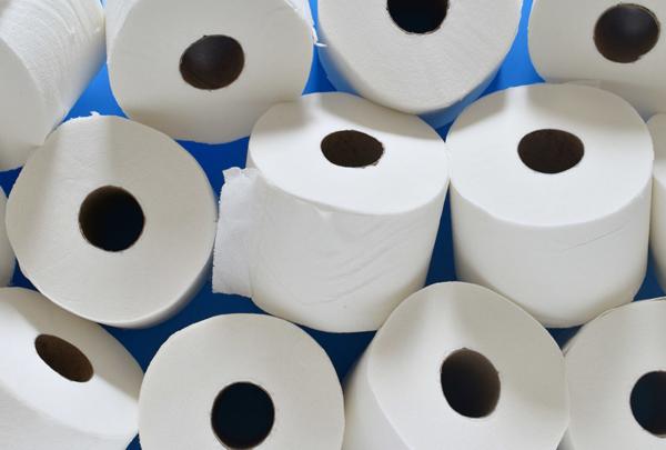 Rolls of toilet paper.